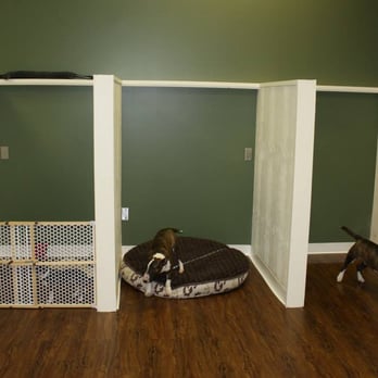 Urban Dog SPAW - Rooms for dogs who are large or dislike kennels at Urban Dog SPAW. - Pet Groomers Near Me - Fort Saskatchewan, Alberta Urban Dog SPAW - Rooms for dogs who are large or dislike kennels at Urban Dog SPAW. - Pet Groomers Near Me - Fort Saskatchewan, Alberta