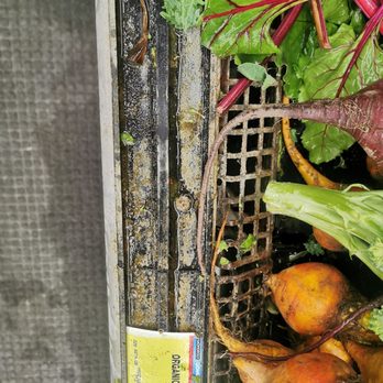 Albertsons - Someone call the health department because their rails need to be replaced in the grocery section. - Grocery Near Me - Spring Valley, California Albertsons - Someone call the health department because their rails need to be replaced in the grocery section. - Grocery Near Me - Spring Valley, California
