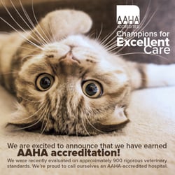 Clark Animal Hospital