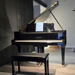 Arts Development School of Music