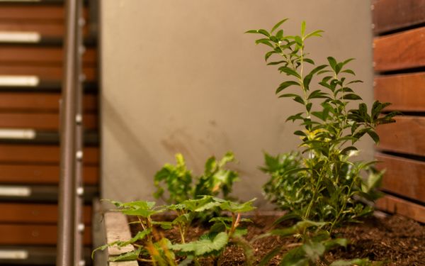 Hothouse Spa & Sauna - Image 10