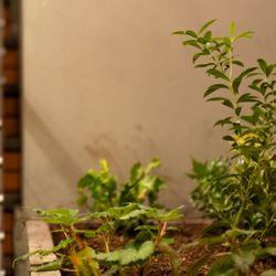 Hothouse Spa & Sauna - entry