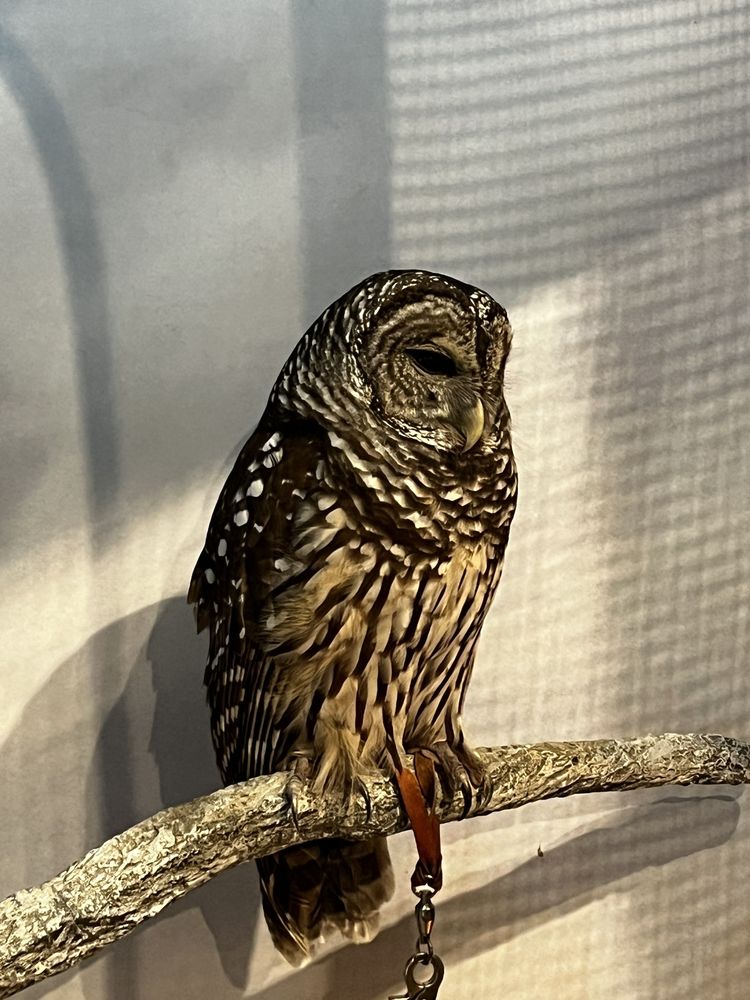 Hobe Sound Nature Center Image