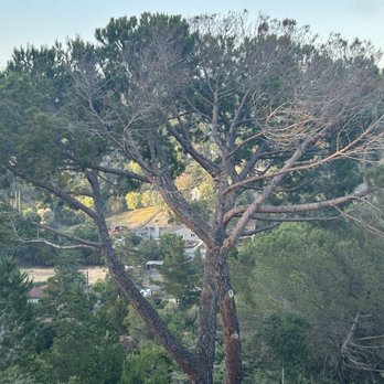 All Terrain Tree Service - Tree Services Near Me - Sacramento, California