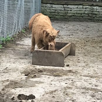 High Park - The zoo - Parks Near Me - Toronto, Ontario