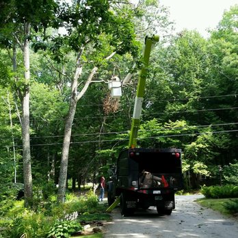 Dan Brown Tree - a truck driving down a dirt road - Tree Services Near Me Dan Brown Tree - a truck driving down a dirt road - Tree Services Near Me