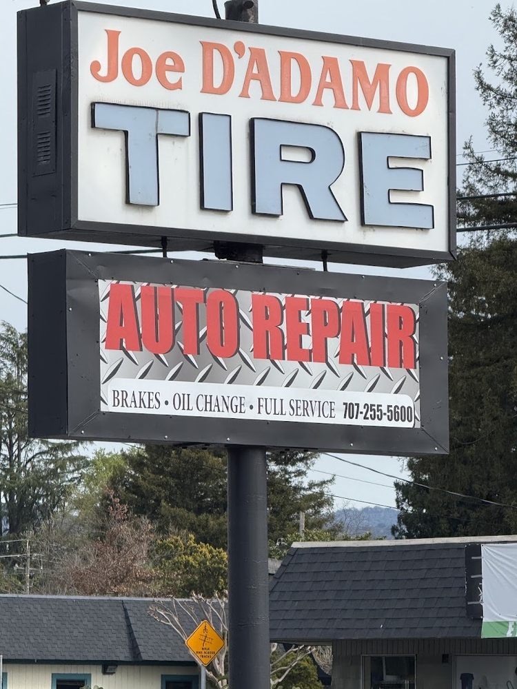 Joe D'Adamo Tire