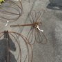 Pike Nurseries