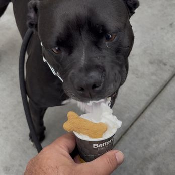 So Cal Pet Pros - We treat your dogs like one of our family! - Dog Walkers Near Me - Irvine, California So Cal Pet Pros - We treat your dogs like one of our family! - Dog Walkers Near Me - Irvine, California