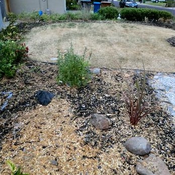 Natural Landscaping - Front yard before Natural Landcaping - Landscape Architects or Designers Near Me