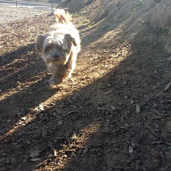 Wrigley Heights Dog Park - Dog Parks Near Me - Long Beach, California Wrigley Heights Dog Park - Dog Parks Near Me - Long Beach, California
