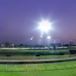 Hippodrome de  La Cépière - Nocturne