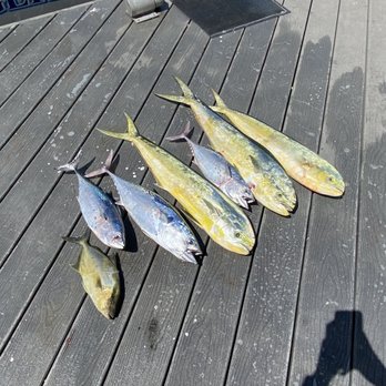 Jolly Roger 2 - Bonito, mahi mahi - Boat Charters Near Me - Key West, Florida