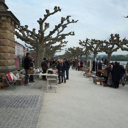 Adenauer-Ufer - Flohmarkt am 01.04.2017