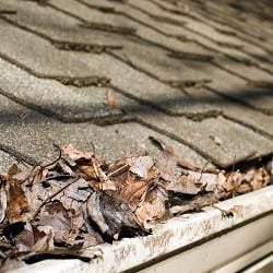 Roof Brokers - Roofs can be damaged by more than just wind or hail. When was the last time your roof was inspected for leaks or maintenance?