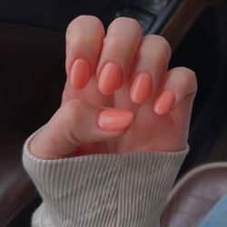 Hollywood Nails & Spa - Nails