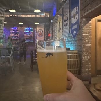 Aardwolf Brewing Company - Bars Near Me - Jacksonville, Florida