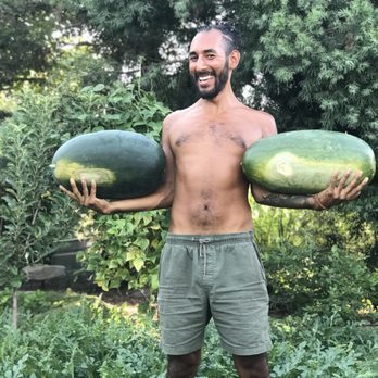 Regenerative Living - Looking to increase yield while lessening costs and effort? Contact the professionals at Regenerative Living for assistance! - Home & Garden Near Me