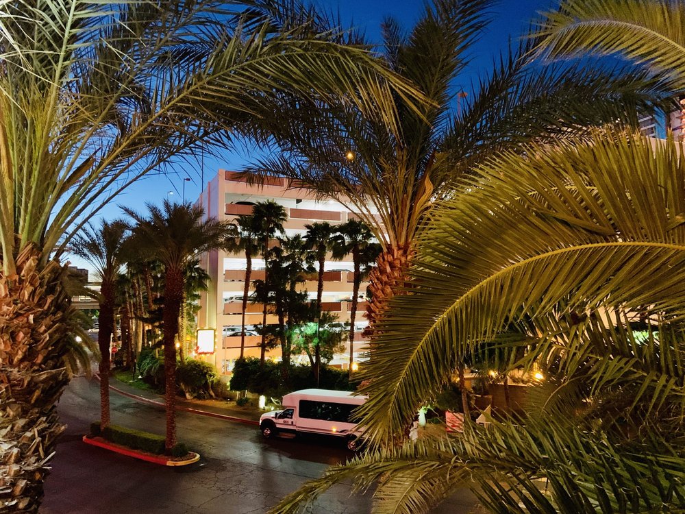 Flamingo Showroom At Flamingo, Las Vegas Roadtrippers