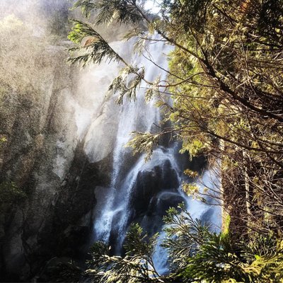 Kings Canyon Visitor Center by null