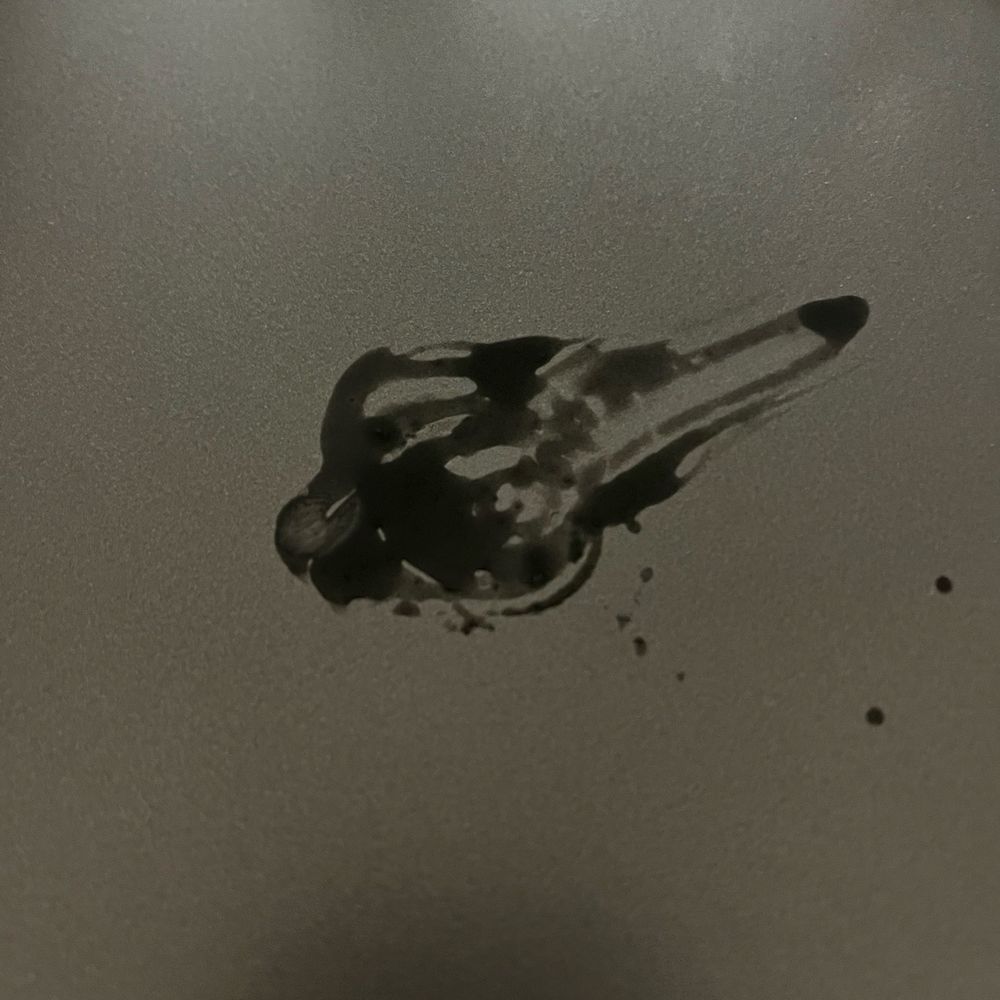 This spot appeared and was black and slimy This spot appeared and was black and slimy