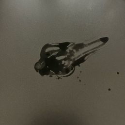 This spot appeared and was black and slimy This spot appeared and was black and slimy