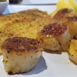 Fried Oyster Dinner