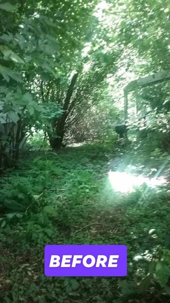 Slide of Mistah Jays Hands For Hire