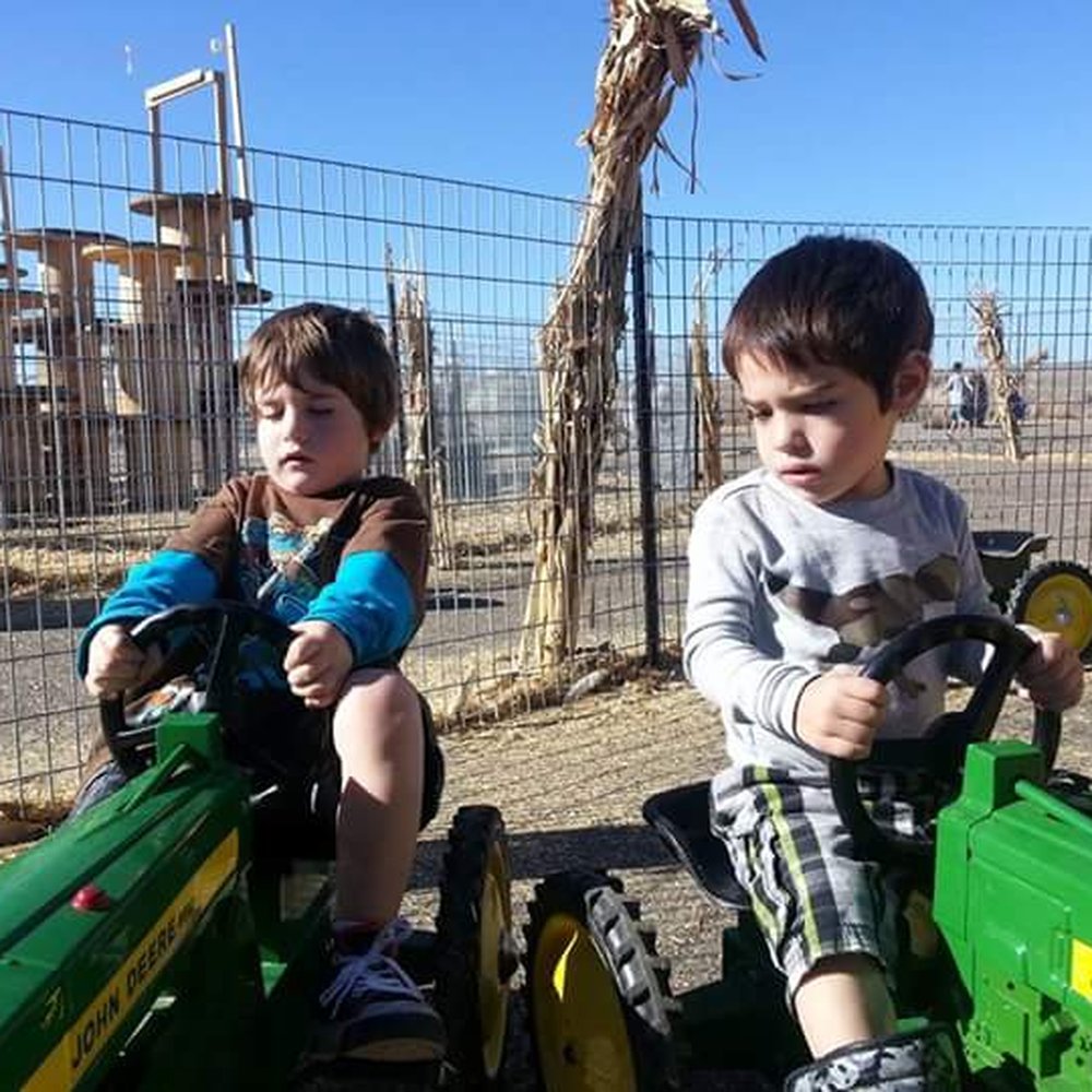 Galloping Goat Pumpkin Patch - Pumpkin Patches Near Me - Rio Rancho, New Mexico