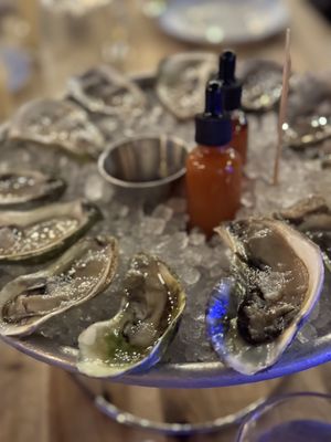 Sea Wolf Brooklyn by null