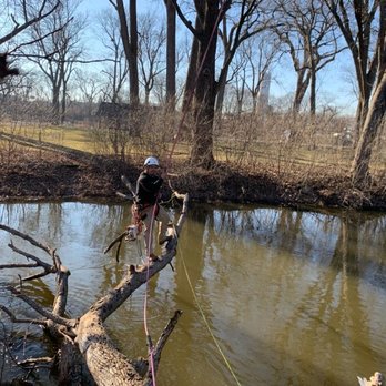 Hyperion Tree Service - One successful day! Nothing is impossible. - Tree Services Near Me Hyperion Tree Service - One successful day! Nothing is impossible. - Tree Services Near Me