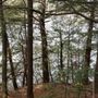 Photo of David Rancourt River Preserve