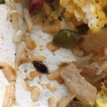 Hi-View Restaurant - Diners Near Me - Villa Park, Illinois