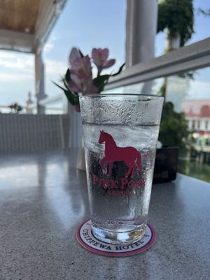 Pink Pony by null