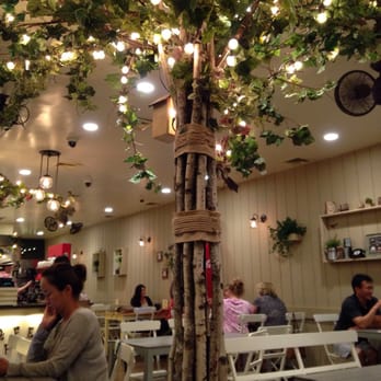 Cafe Bench - Decor - Cafes Near Me - Flushing, New York