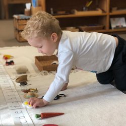 Greenwood Montessori School