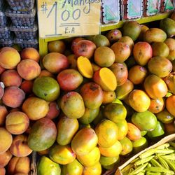 King Fruit - Mangoes