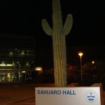 Midwestern University - night time - catcus - Colleges & Universities Near Me - Glendale, Arizona Midwestern University - night time - catcus - Colleges & Universities Near Me - Glendale, Arizona