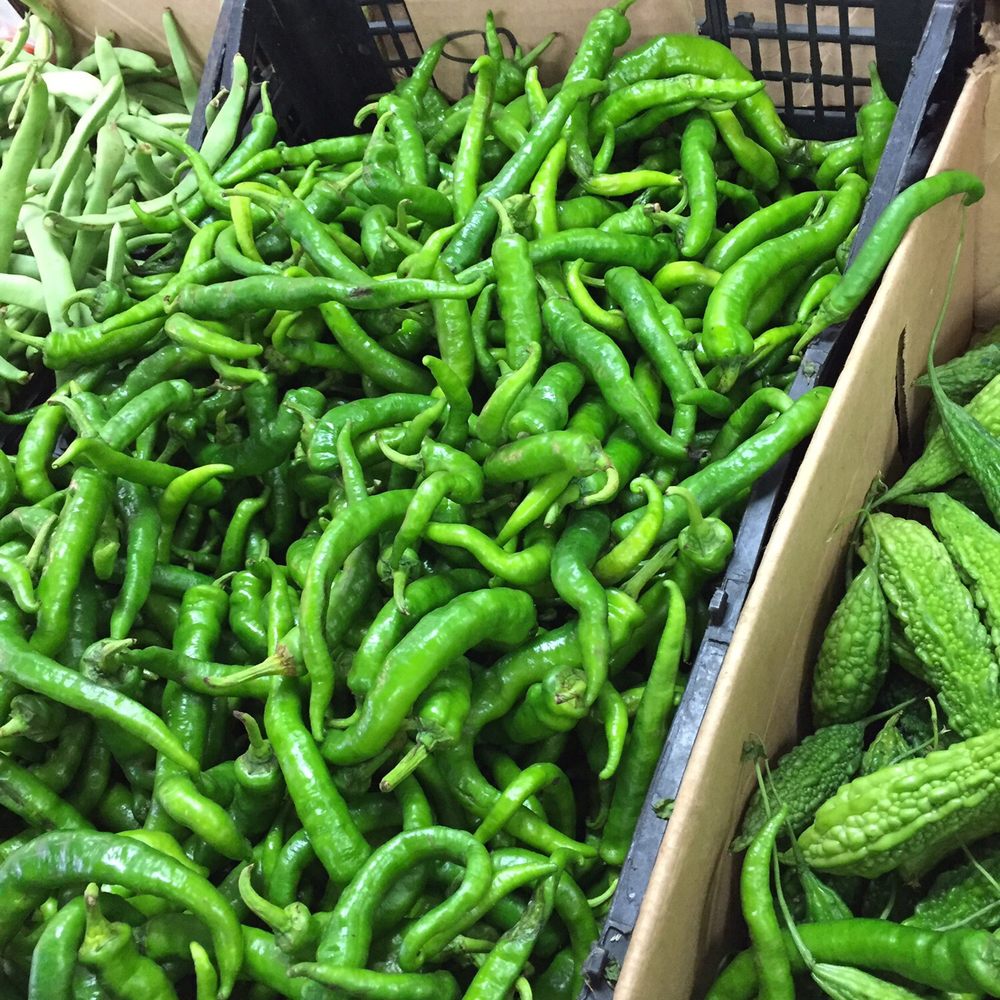 You Market II - Shishito peppers - Grocery Near Me - Honolulu, Hawaii You Market II - Shishito peppers - Grocery Near Me - Honolulu, Hawaii