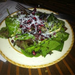 Skappo - Salad of the day