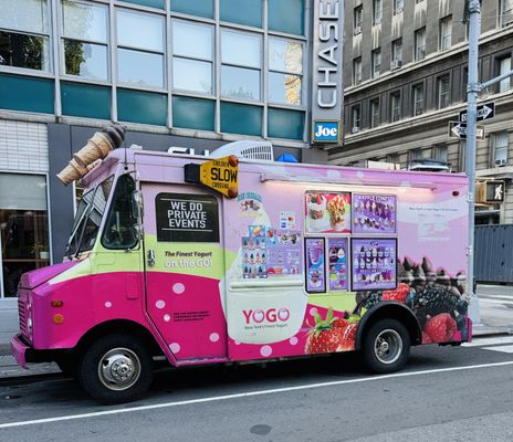 NYC's Finest Yogurt & Ice Cream