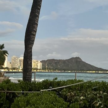 Halekulani Hotel - Diamond head from the pool - Hotels Near Me - Honolulu, Hawaii Halekulani Hotel - Diamond head from the pool - Hotels Near Me - Honolulu, Hawaii