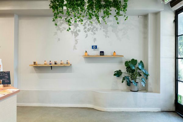 Odd One Out Tea Sawtelle by null