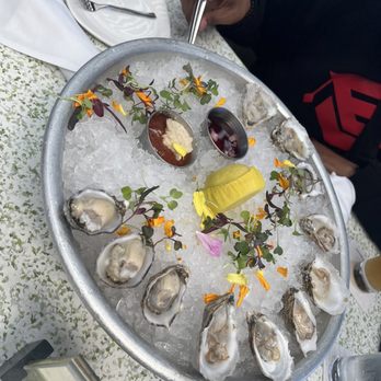 C Level - Dozen Oysters - New American Near Me - San Diego, California C Level - Dozen Oysters - New American Near Me - San Diego, California