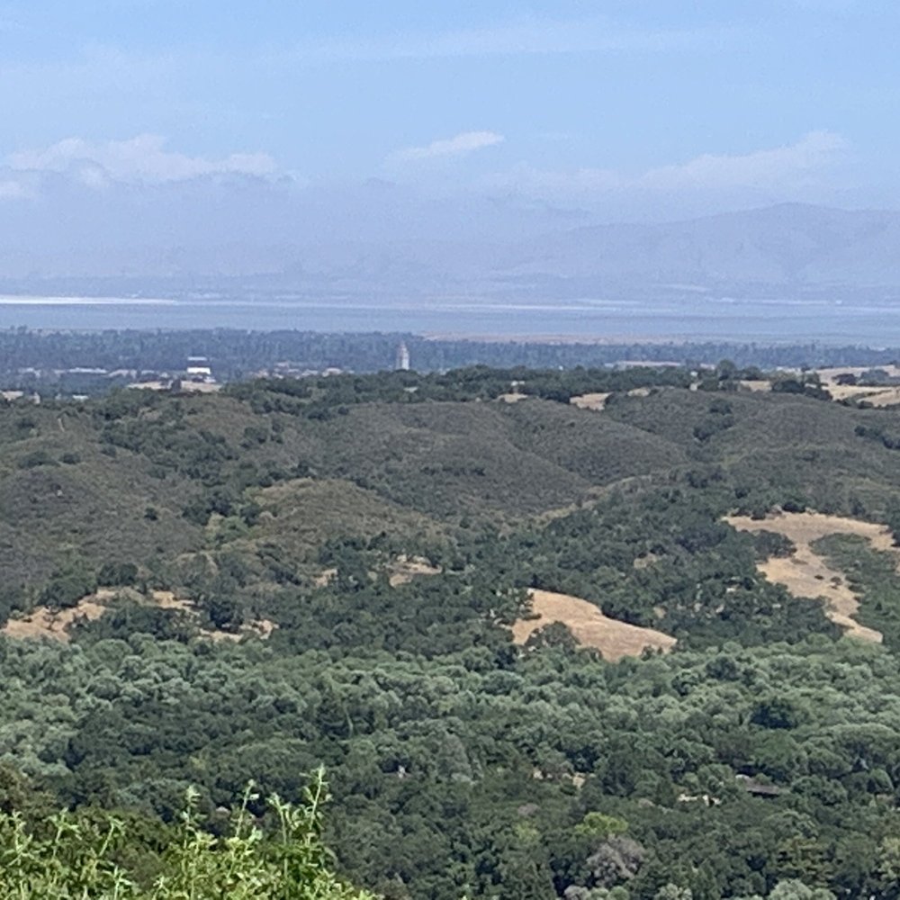 Thornewood Preserve - View of the bay and Hoover Tower. Schilling Lake 5-29-21 - Parks Near Me - Woodside, California Thornewood Preserve - View of the bay and Hoover Tower. Schilling Lake 5-29-21 - Parks Near Me - Woodside, California