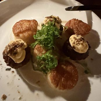 Fortu - Scallops - Wine Bars Near Me - St. Petersburg, Florida Fortu - Scallops - Wine Bars Near Me - St. Petersburg, Florida
