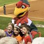 Photo of Boise Hawks Baseball Club
