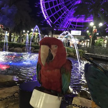 ICON Park - Bird - Amusement Parks Near Me - Orlando, Florida ICON Park - Bird - Amusement Parks Near Me - Orlando, Florida