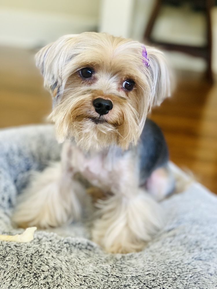 BARKHOUSE Updated July 2024 179 Photos & 218 Reviews 311 W