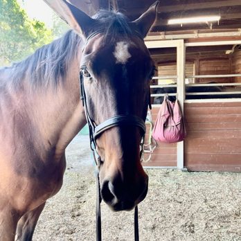 Rainwater Farms - Horse Boarding Near Me - Fresno, California Rainwater Farms - Horse Boarding Near Me - Fresno, California